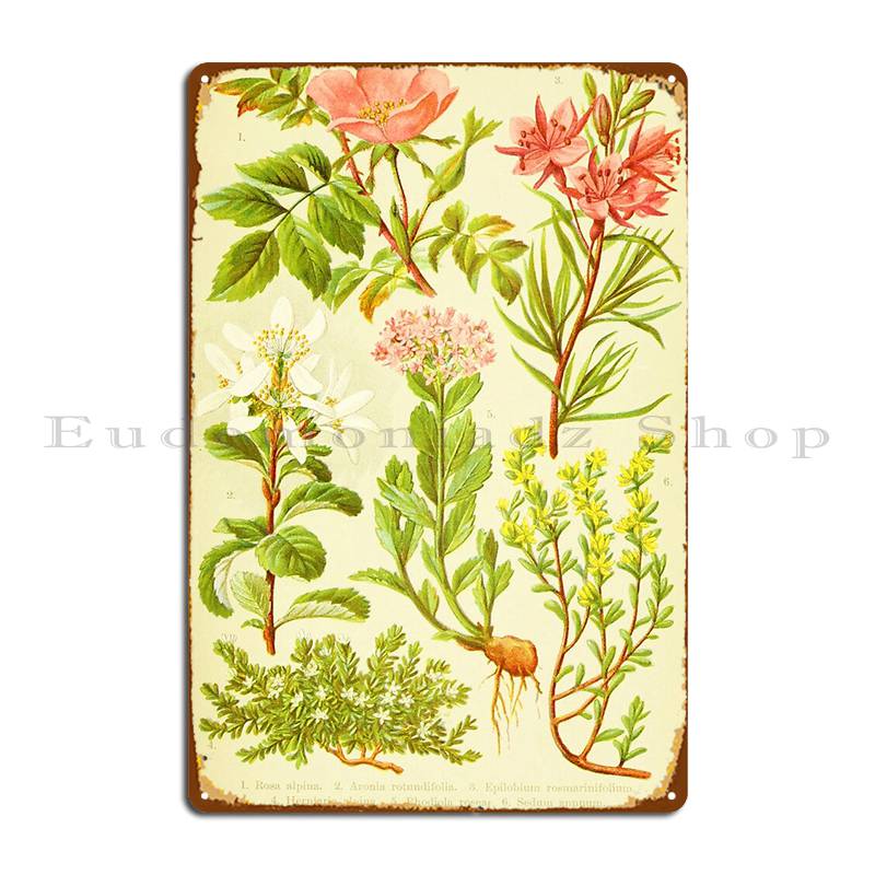 Home Cinema Wall Design - Hd Vintage Flowery Bouquet Design Numero