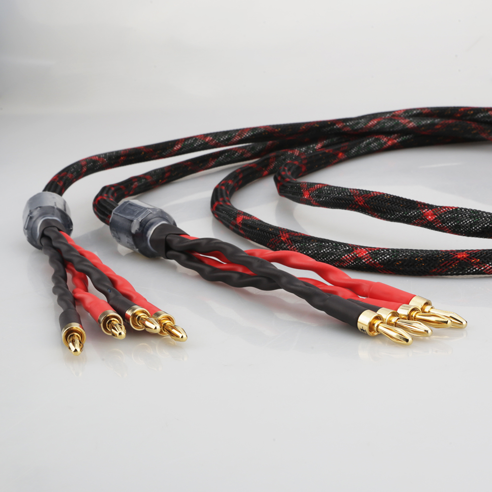Cavo per Altoparlanti Bi-Wire  - Home Cinema Reviews recensione e prezzo