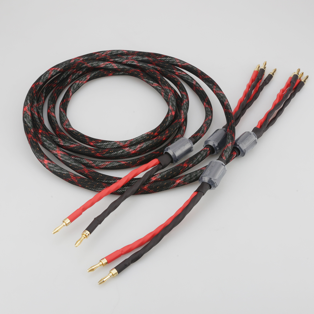 Cavo per Altoparlanti Bi-Wire  - Home Cinema Reviews recensione e prezzo