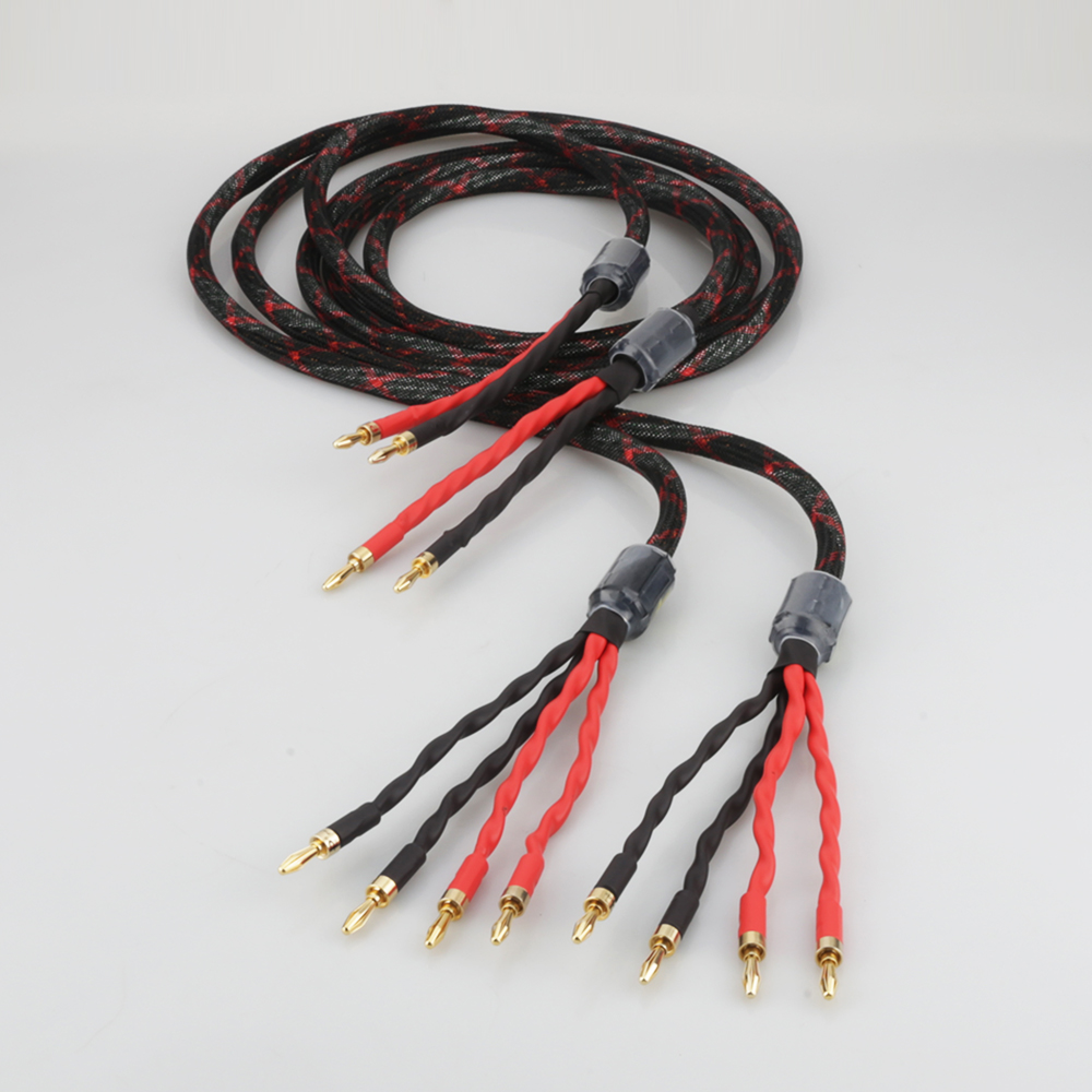 Cavo per Altoparlanti Bi-Wire  - Home Cinema Reviews recensione e prezzo