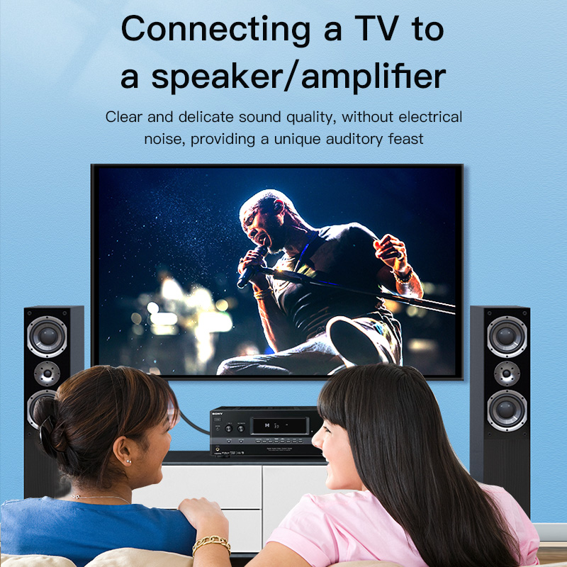 CHOSEAL Cavo RCA Digitale Coas - Home Cinema Reviews recensione e prezzo